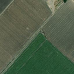 Satellite imagery of survey_point, DZ