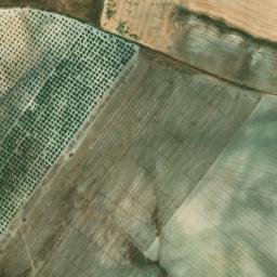 Satellite imagery of survey_point, DZ