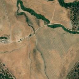 Satellite imagery of survey_point, DZ