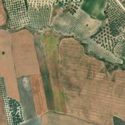 Satellite imagery of survey_point, DZ