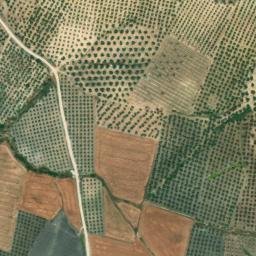 Satellite imagery of survey_point, DZ