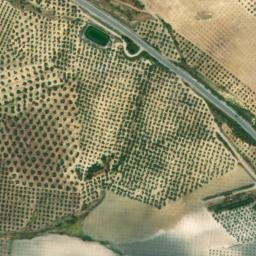 Satellite imagery of survey_point, DZ
