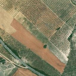 Satellite imagery of survey_point, DZ