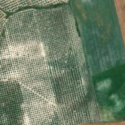 Satellite imagery of survey_point, DZ