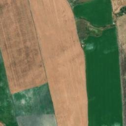 Satellite imagery of survey_point, DZ