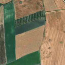 Satellite imagery of survey_point, DZ