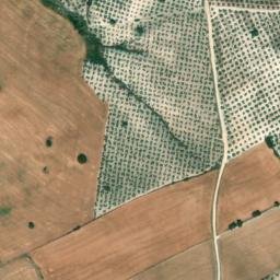 Satellite imagery of survey_point, DZ