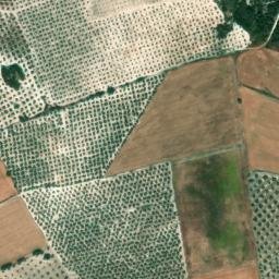 Satellite imagery of survey_point, DZ