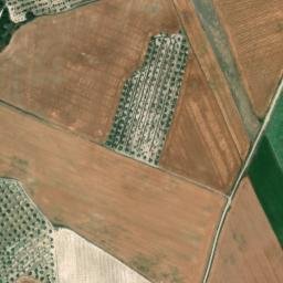 Satellite imagery of survey_point, DZ