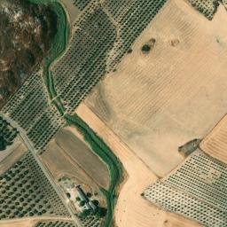Satellite imagery of survey_point, DZ