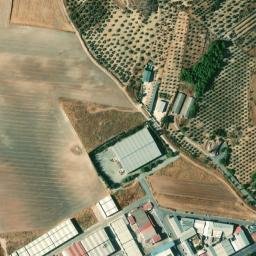 Satellite imagery of survey_point, DZ