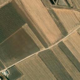 Satellite imagery of survey_point, DZ