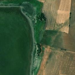 Satellite imagery of survey_point, DZ