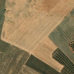 Satellite imagery of survey_point, DZ