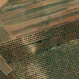 Satellite imagery of survey_point, DZ