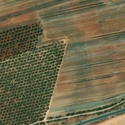 Satellite imagery of survey_point, DZ