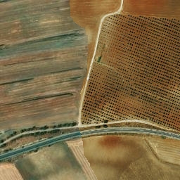Satellite imagery of survey_point, DZ