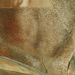 Satellite imagery of survey_point, DZ