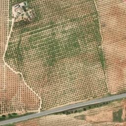 Satellite imagery of survey_point, DZ