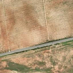Satellite imagery of survey_point, DZ
