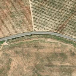 Satellite imagery of survey_point, DZ