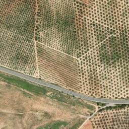 Satellite imagery of survey_point, DZ