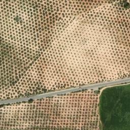 Satellite imagery of survey_point, DZ