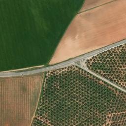 Satellite imagery of survey_point, DZ