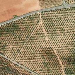 Satellite imagery of survey_point, DZ