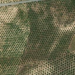 Satellite imagery of survey_point, DZ