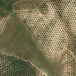 Satellite imagery of survey_point, DZ