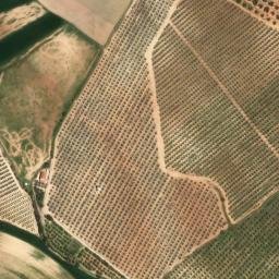 Satellite imagery of survey_point, DZ