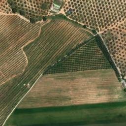 Satellite imagery of survey_point, DZ