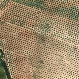 Satellite imagery of survey_point, DZ