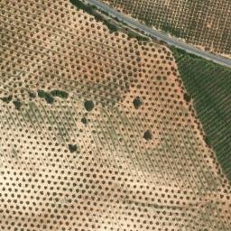Satellite imagery of survey_point, DZ