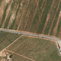 Satellite imagery of survey_point, DZ