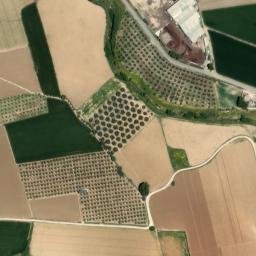 Satellite imagery of survey_point, DZ