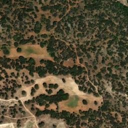 Satellite imagery of survey_point, DZ