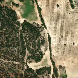 Satellite imagery of survey_point, DZ