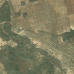 Satellite imagery of survey_point, DZ