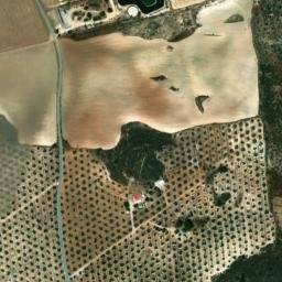 Satellite imagery of survey_point, DZ