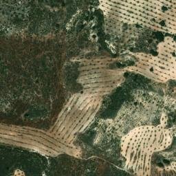 Satellite imagery of survey_point, DZ