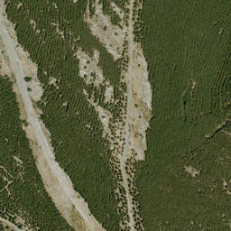 Satellite imagery of survey_point, DZ