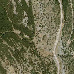 Satellite imagery of survey_point, DZ