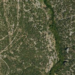 Satellite imagery of survey_point, DZ