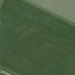 Satellite imagery of survey_point, DZ