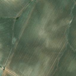 Satellite imagery of survey_point, DZ
