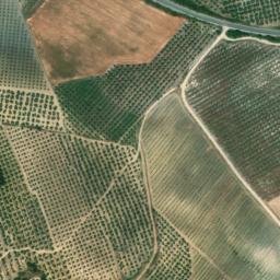 Satellite imagery of survey_point, DZ