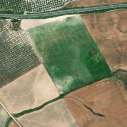 Satellite imagery of survey_point, DZ
