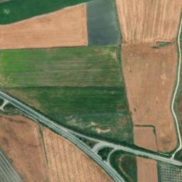 Satellite imagery of survey_point, DZ
